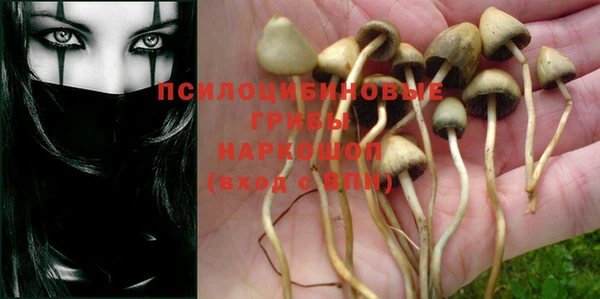 PSILOCYBIN Вязники