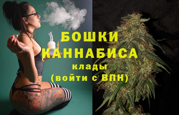 PSILOCYBIN Вязники