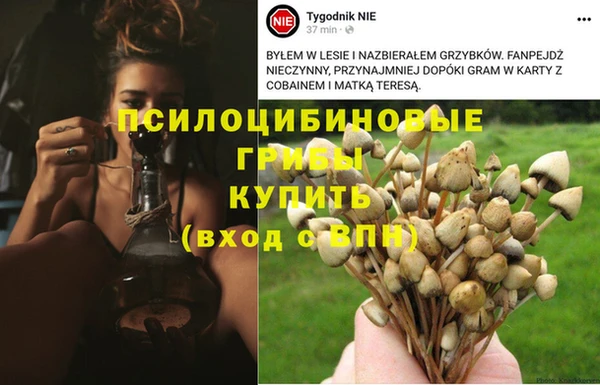 амфетамин Вяземский