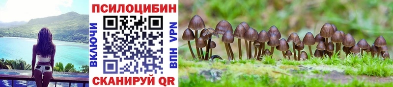 Купить закладки  Сясьстрой  Псилоцибиновые грибы GOLDEN TEACHER 